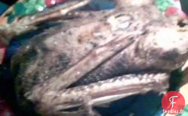 Oie Rôtie Épicée avec Farce aux Pommes