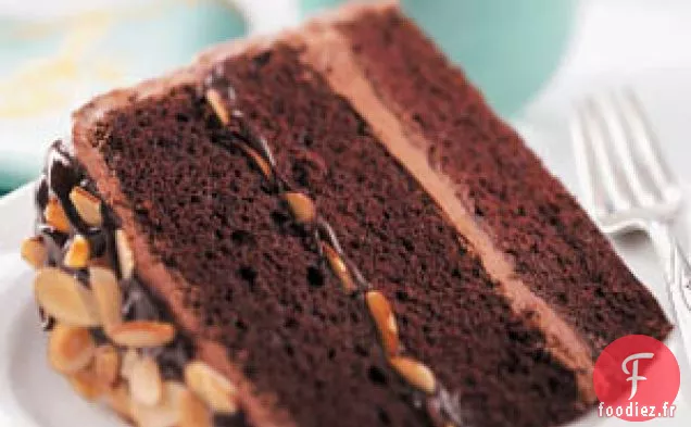Gâteau au Chocolat Pour Occasions Spéciales