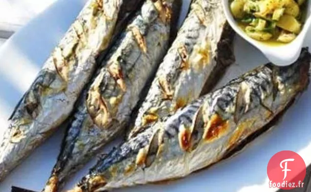 Maquereau Avec Salsa Au Citron