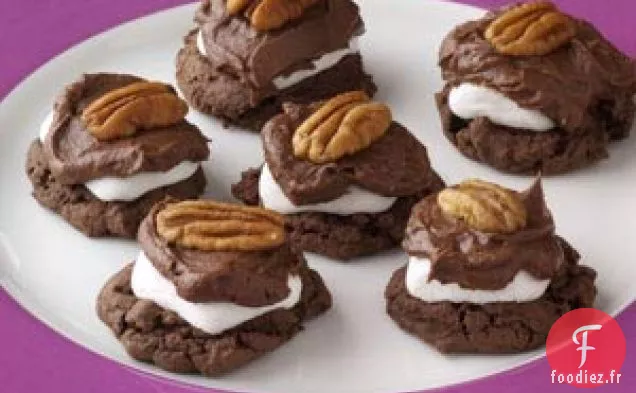 Biscuits à La Guimauve Enrobés De Chocolat
