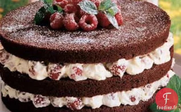 Tarte au Chocolat Fourrée aux Framboises