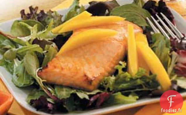 Salade de Saumon au Gingembre