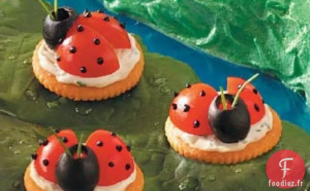 Amuse-Gueules de Coccinelle