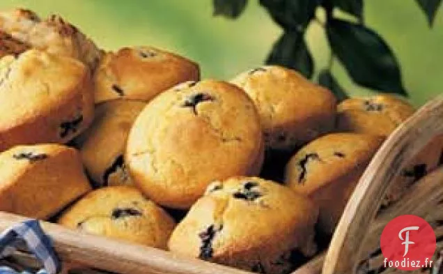 Muffins à La Semoule de Maïs aux Bleuets