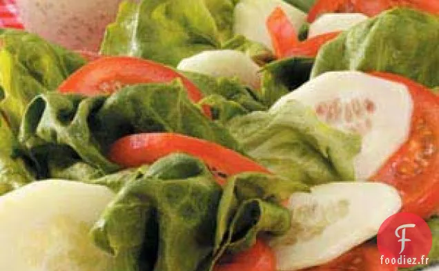 Salade De Tomates Et Concombres
