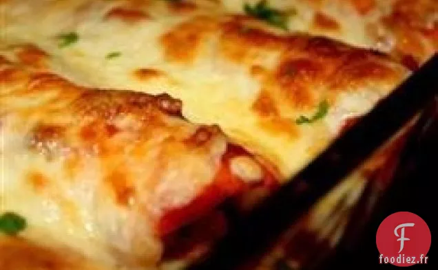 Enchiladas au Poulet I