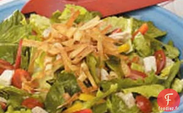 Salade de Poulet aux Wontons Croustillants