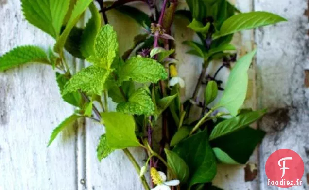 Rouleaux de Papier de riz Frais (printemps / été) Avec Herbes et légumes