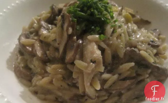 Orzo Crémeux Aux Champignons Et Poireaux