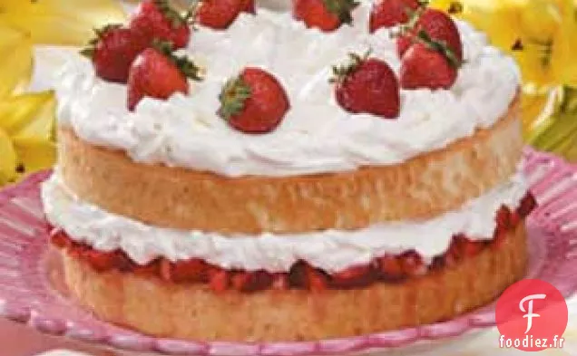 Gâteau à la crème aux fraises