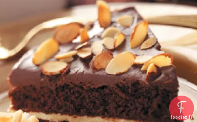 Gâteau Au Chocolat Aux Noisettes