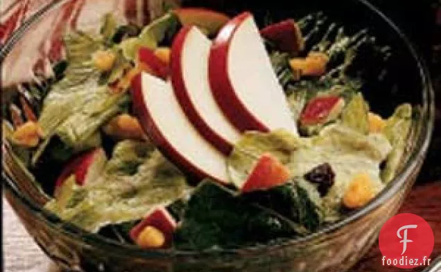 Salade de laitue aux pommes rapide