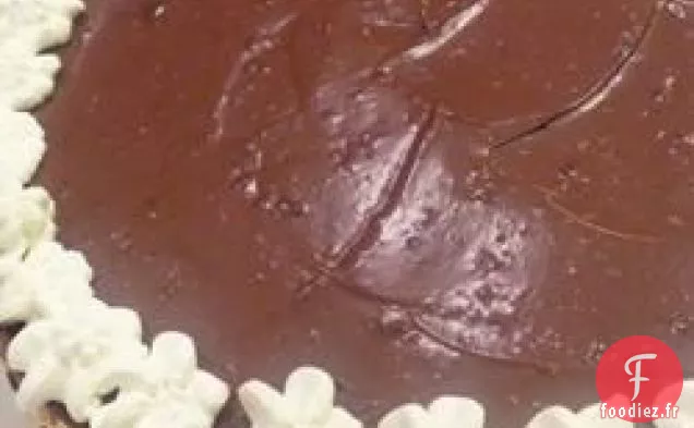 Cheesecake marbré givré au chocolat