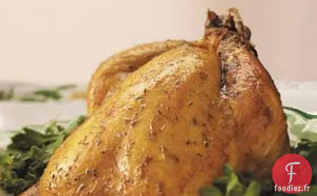 Poule de Cornouailles habillée