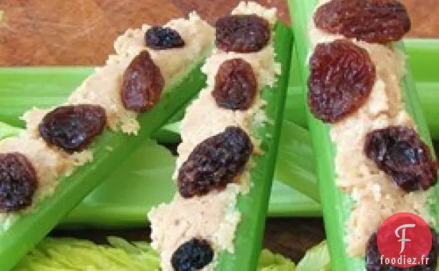 Fourmis sur une bûche