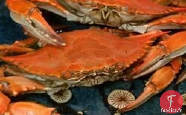 Bouillie de crabe bleu du Delaware