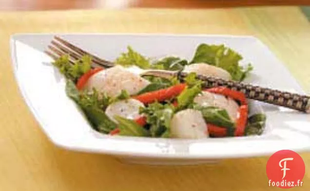 Salade tiède de pétoncles