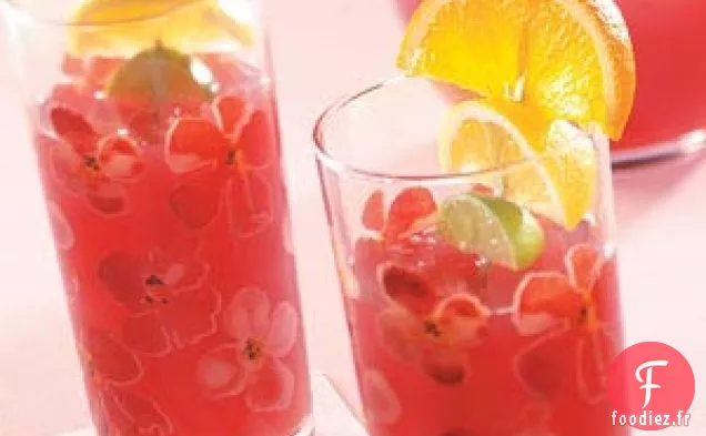 Punch à l'orange et aux canneberges