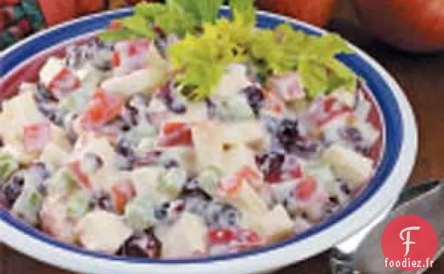 Salade Waldorf aux pommes et aux canneberges