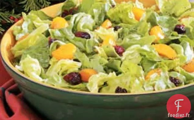 Salade mélangée à l'orange et aux canneberges