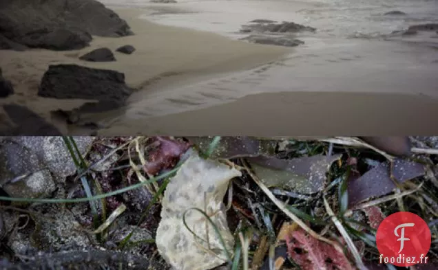 Chutney de Citron Rôti