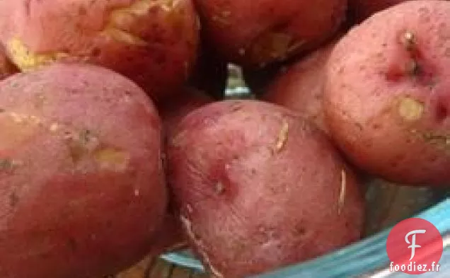 Pommes de terre qui crient