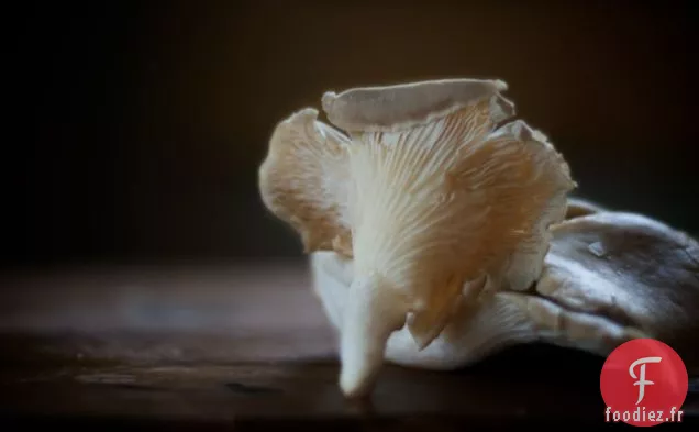 Steak de Salisbury pour adultes