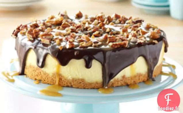 Gâteau au fromage simple à la tortue