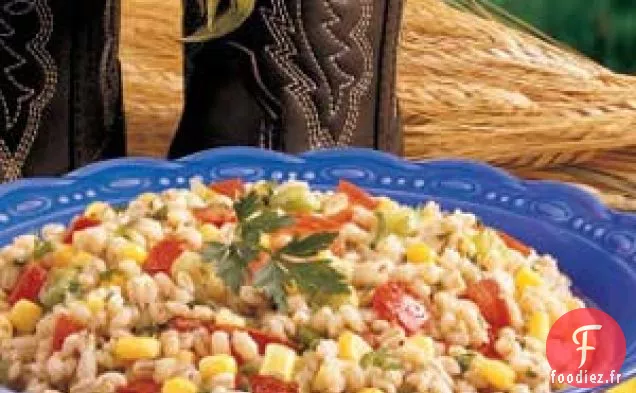 Salade d'orge colorée