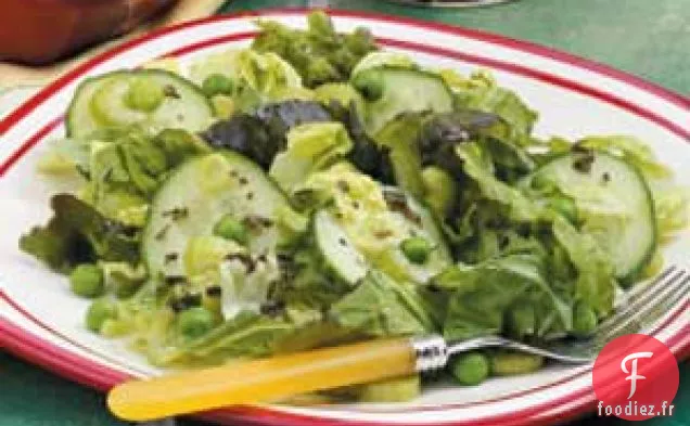 Salade verte mélangée