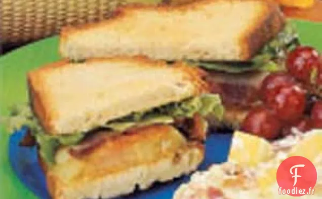 Sandwichs aux tomates vertes frites