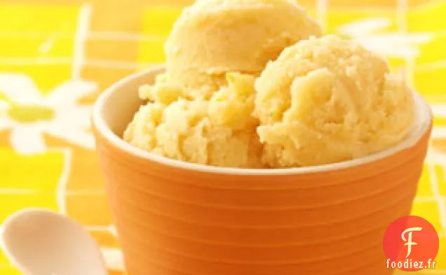 Sorbet Agrumes-Melon