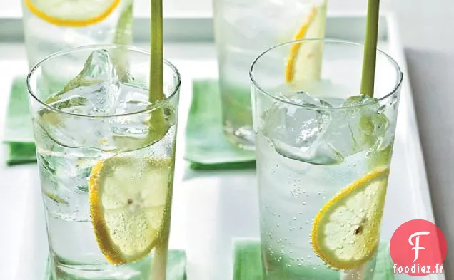 Soda Gingembre-Citronnelle