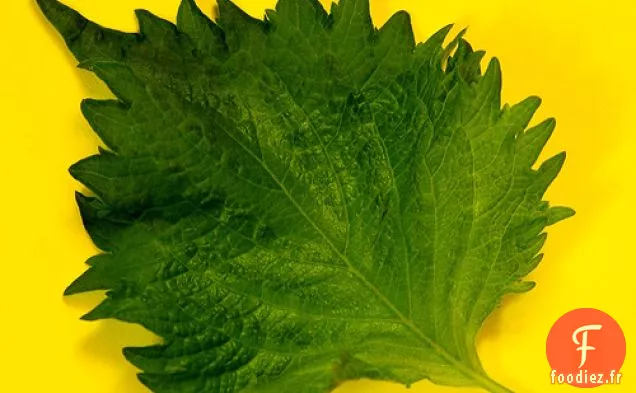 Sardines Roulées À La Pâte De Prune