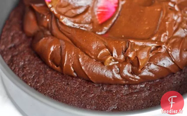 Torte Au Chocolat Double Réfrigérée