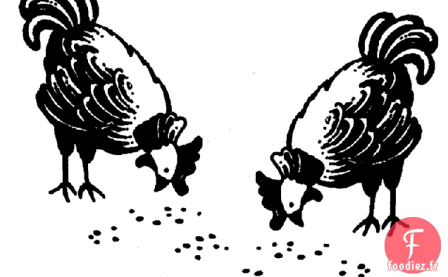 Bouillon de Poulet