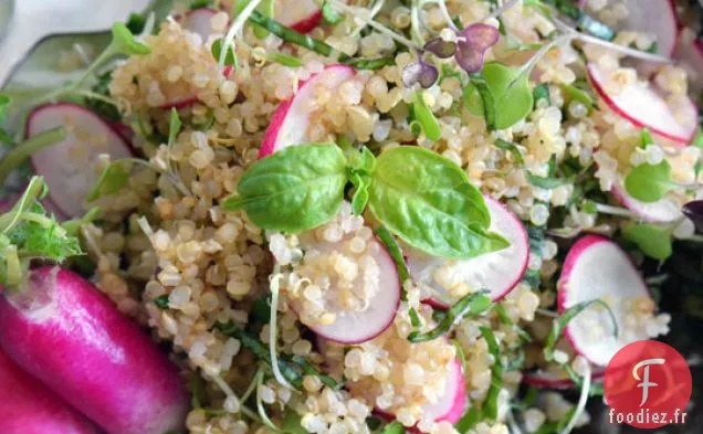 Salade De Quinoa Aux Radis De Printemps Et Aux Légumes Verts