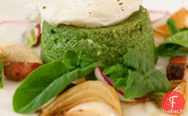 Sformatino Aux Épinards Avec Pancetta, Radis Et Oignons De Printemps