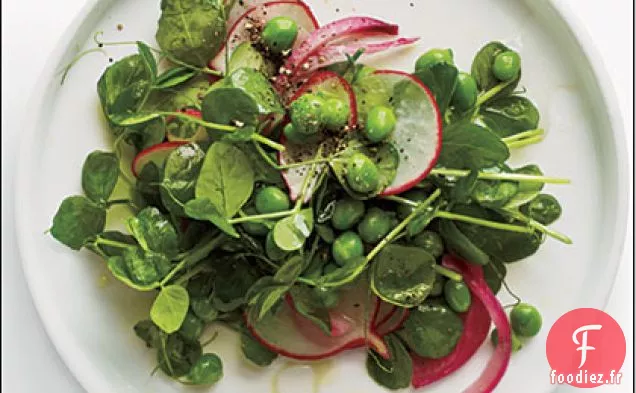 Salade de Pousses de Pois avec Radis et Oignon Mariné