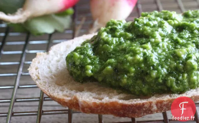Pesto De Feuilles De Radis À L'Ail Vert Et Aux Graines De Citrouille