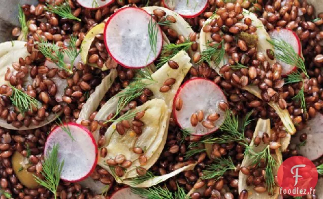 Salade D'Orge Noire, De Fenouil Et De Radis