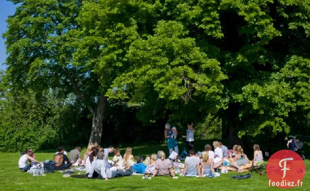 Super Salade aux Bleuets et Abricots