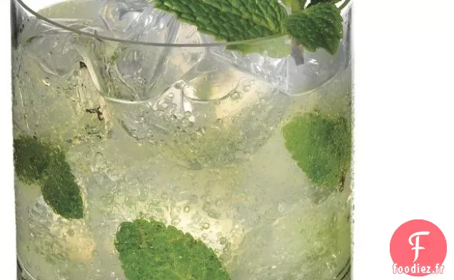 Menthe de la Terre Mère