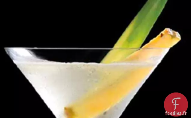 Coriandre d'Ananas H2o