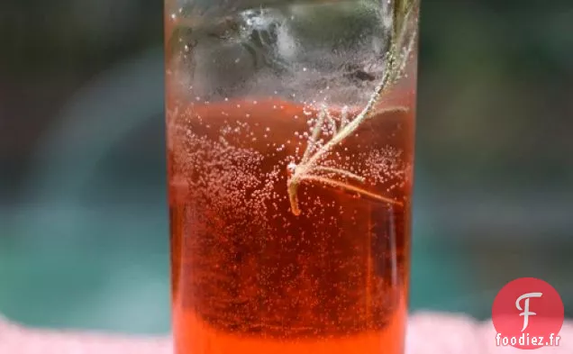 Campari - Apéritif au romarin