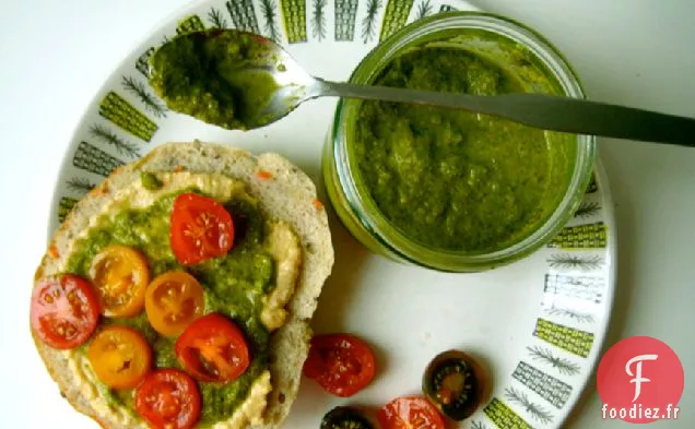 Pesto de Coriandre Géante Verte