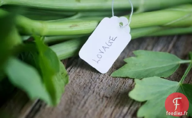 Soupe de Livèche pour le printemps