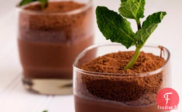 Puddings au chocolat et à la menthe en pot