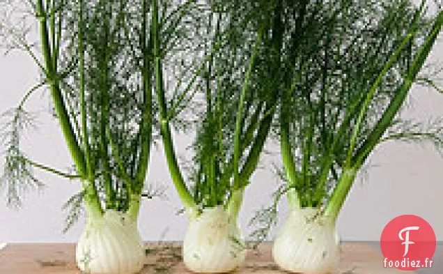 Gratin de Fenouil