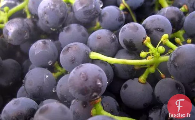 Schiacciata De Mario Batali Aux Raisins Concord Et Graines De Fenouil